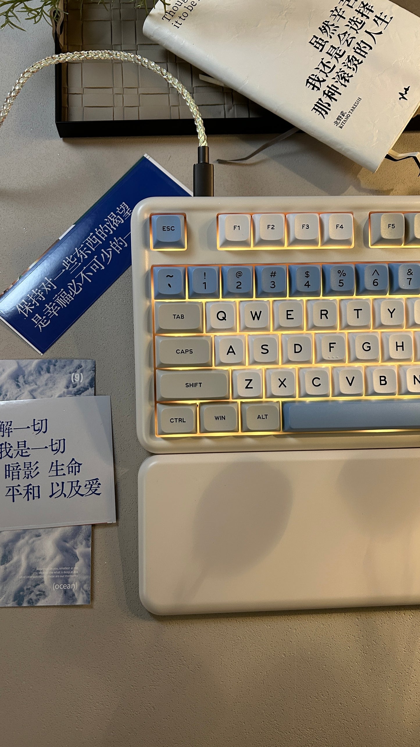 Unboxing Sample For Sales ONLY 1 Instock Fully Prebuilt Su Dongpo Tri-Mode Wireless Mechanical Keyboard With Wristrest Set