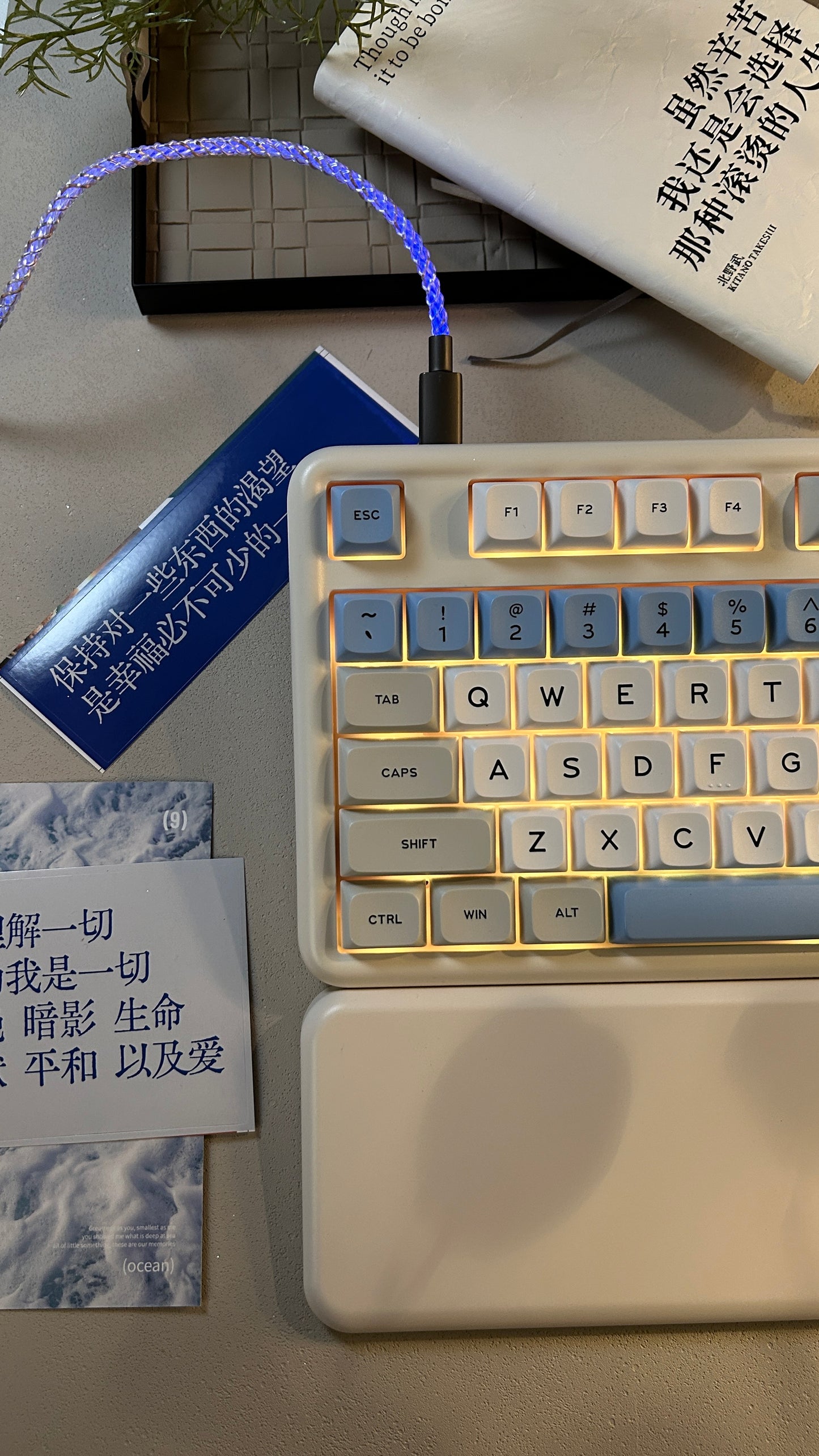 Unboxing Sample For Sales ONLY 1 Instock Fully Prebuilt Su Dongpo Tri-Mode Wireless Mechanical Keyboard With Wristrest Set
