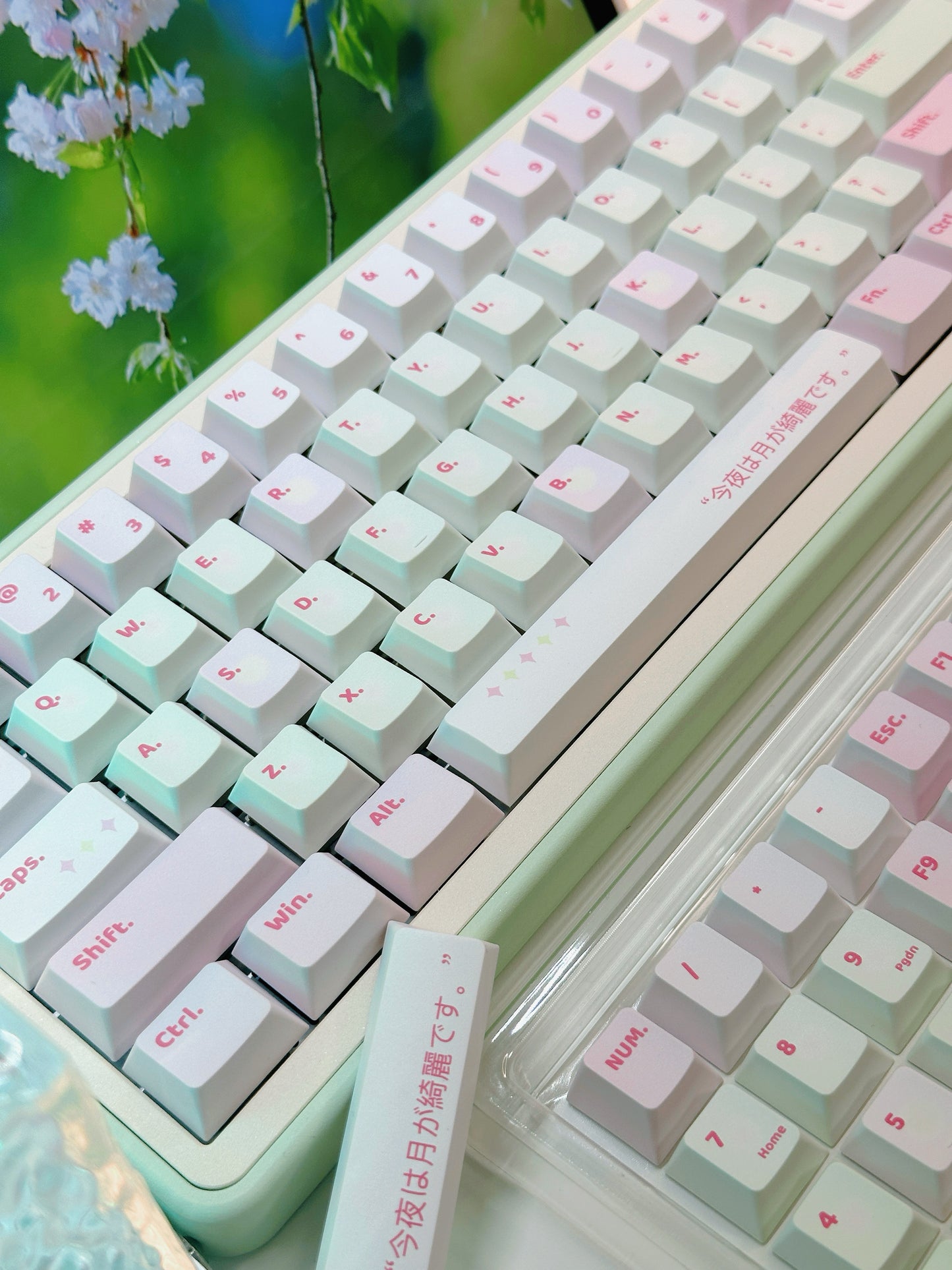 #0165 Spring Cherry Blossom Pastel Green Pink Keycap Cherry Profile Designed By Bluebird (Not Including Keyboard)