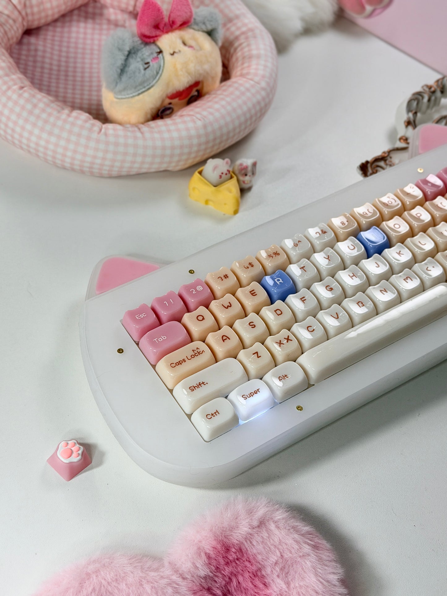 Unboxing Sample For Sale ONLY 1 Instock XVX C67 AcriCat Themed Wireless Acrylic Mechanical Keyboard