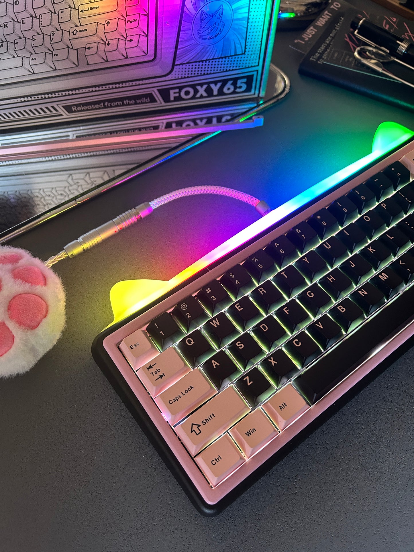 Unboxing Clearance ONLY 1 Instock Foxy 65 Assembled Edition Black Pink Kitten