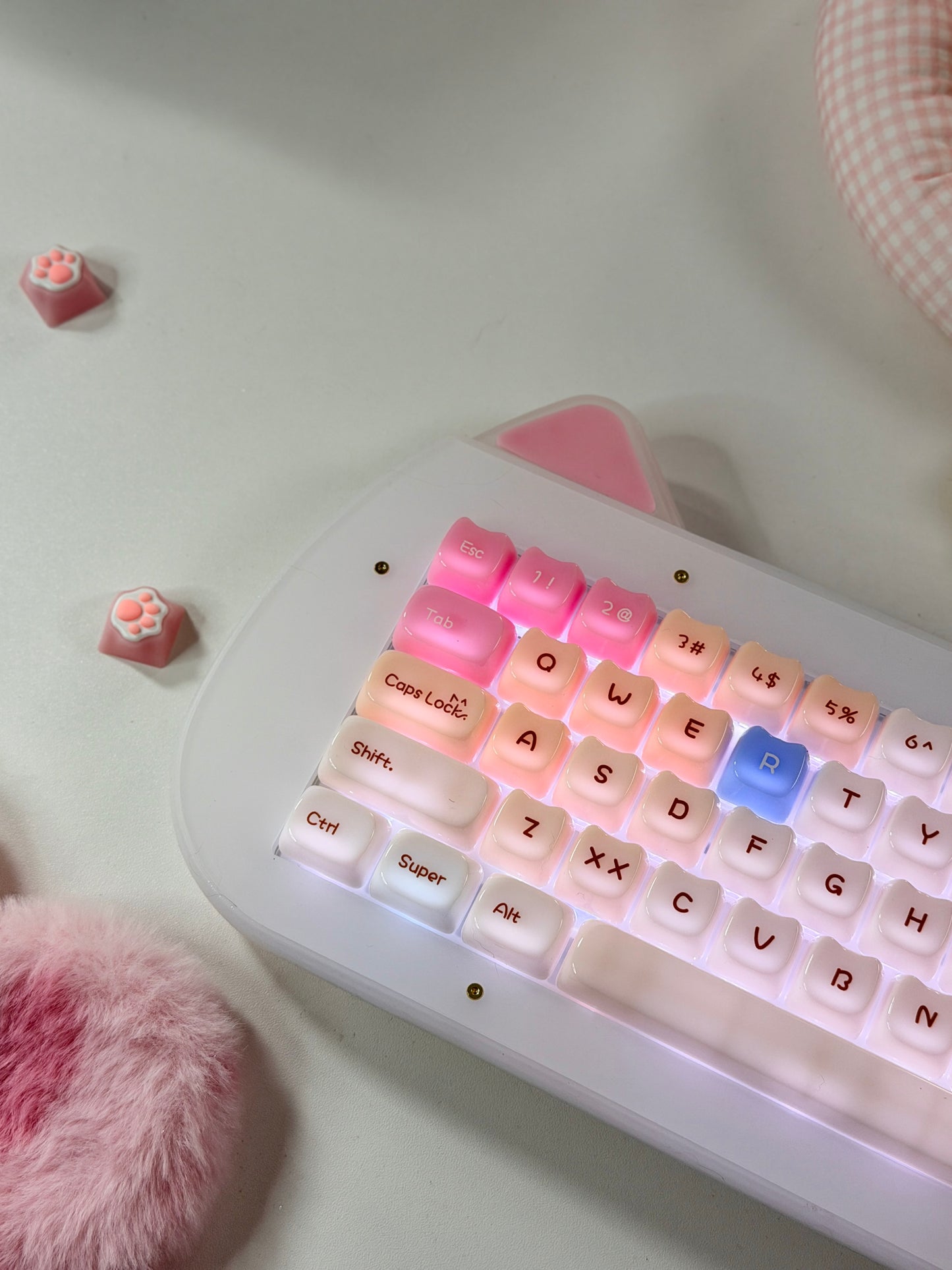 Unboxing Sample For Sale ONLY 1 Instock XVX C67 AcriCat Themed Wireless Acrylic Mechanical Keyboard