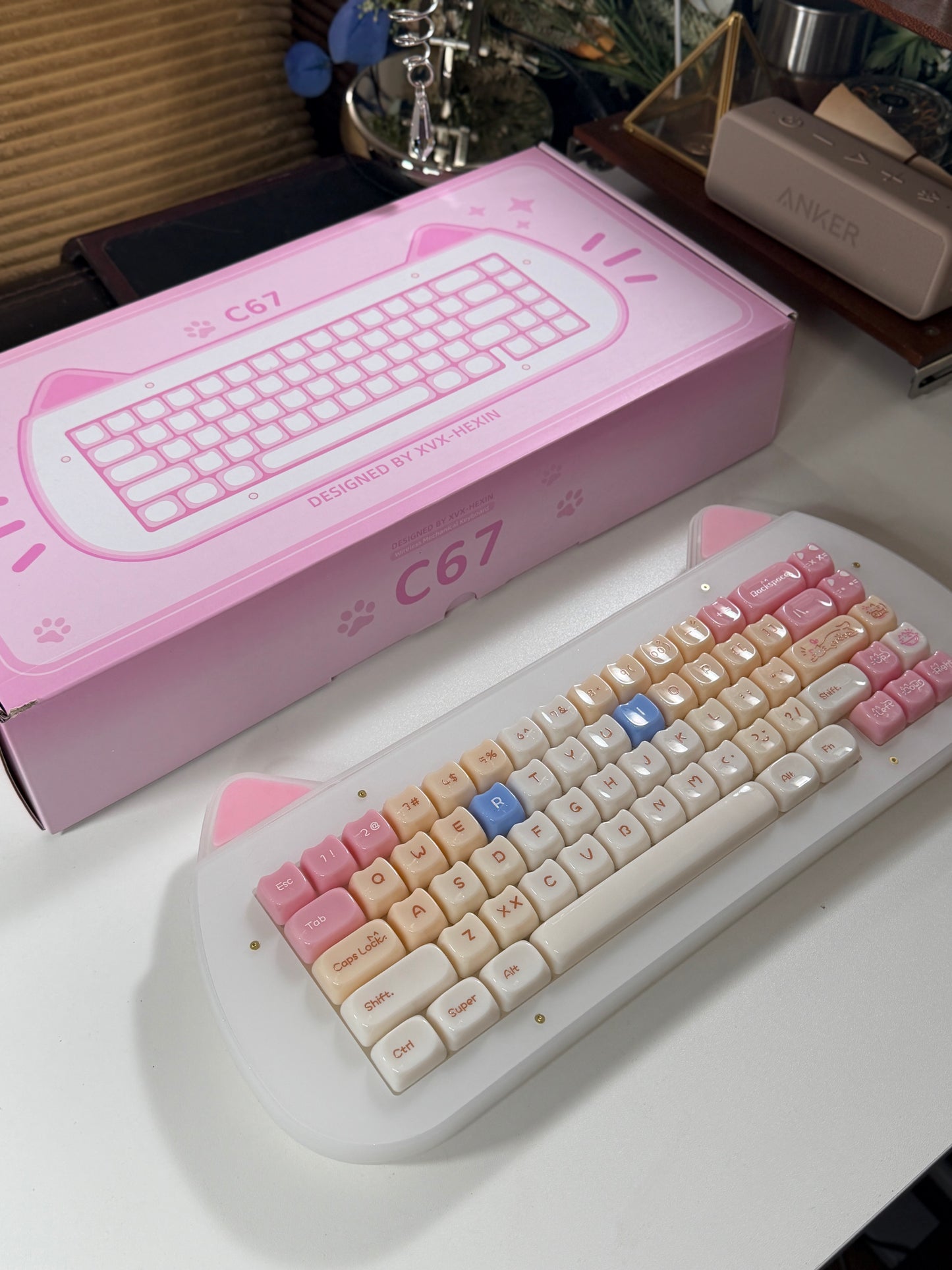 Unboxing Sample For Sale ONLY 1 Instock XVX C67 AcriCat Themed Wireless Acrylic Mechanical Keyboard