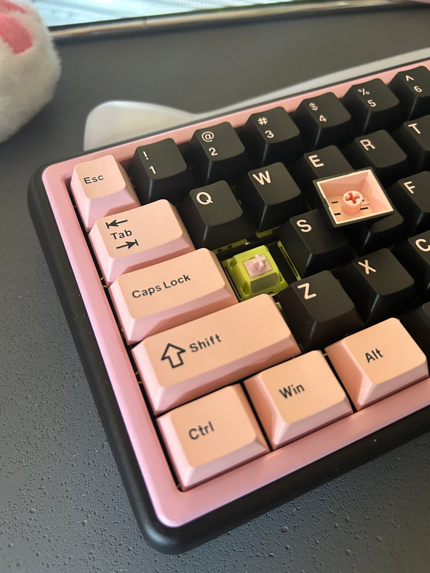 Unboxing Clearance ONLY 1 Instock Foxy 65 Assembled Edition Black Pink Kitten