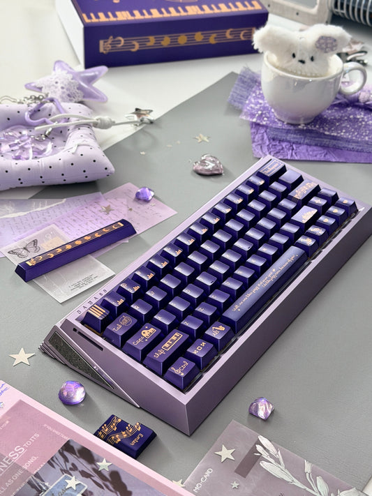 ONLY 1 Instock Prebuilt Aluminum Customized Mechanical Keyboard DAMA60 Anodized Purple Set