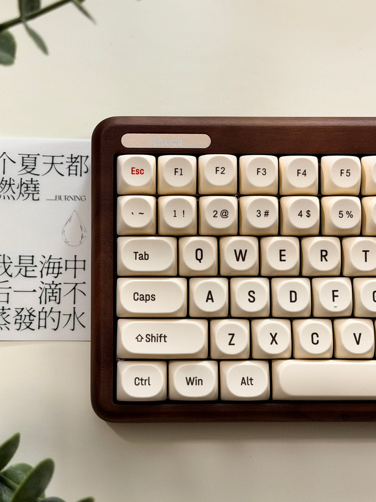 Unboxing For Clearance ONLY 1 Instock Reccazr R100 Walnut Wooden Mechanical Keyboard – Custom “Tofu” Style | Wireless | RGB Backlit
Glutinous Rice Switch (silent switch)