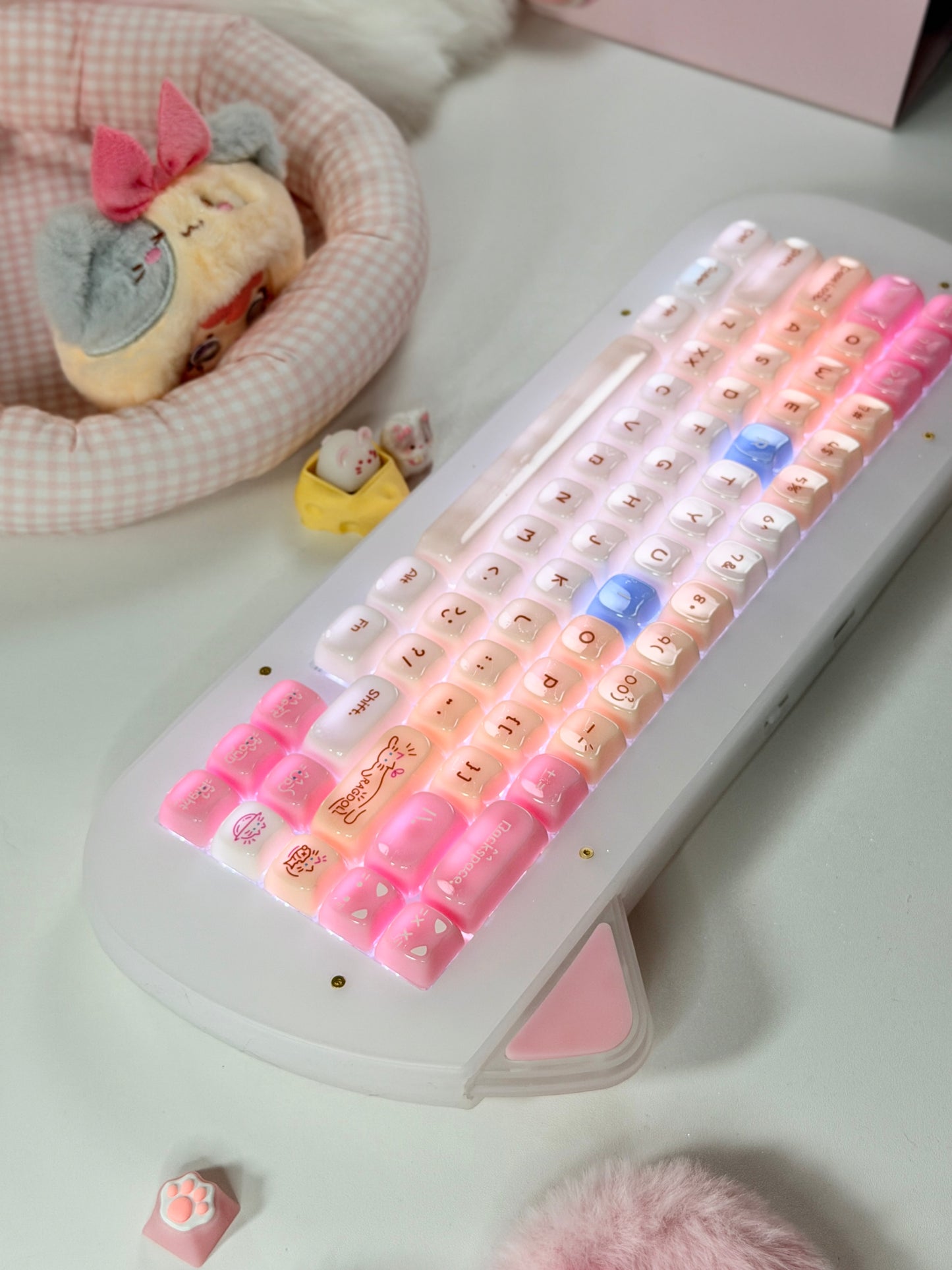 Unboxing Sample For Sale ONLY 1 Instock XVX C67 AcriCat Themed Wireless Acrylic Mechanical Keyboard