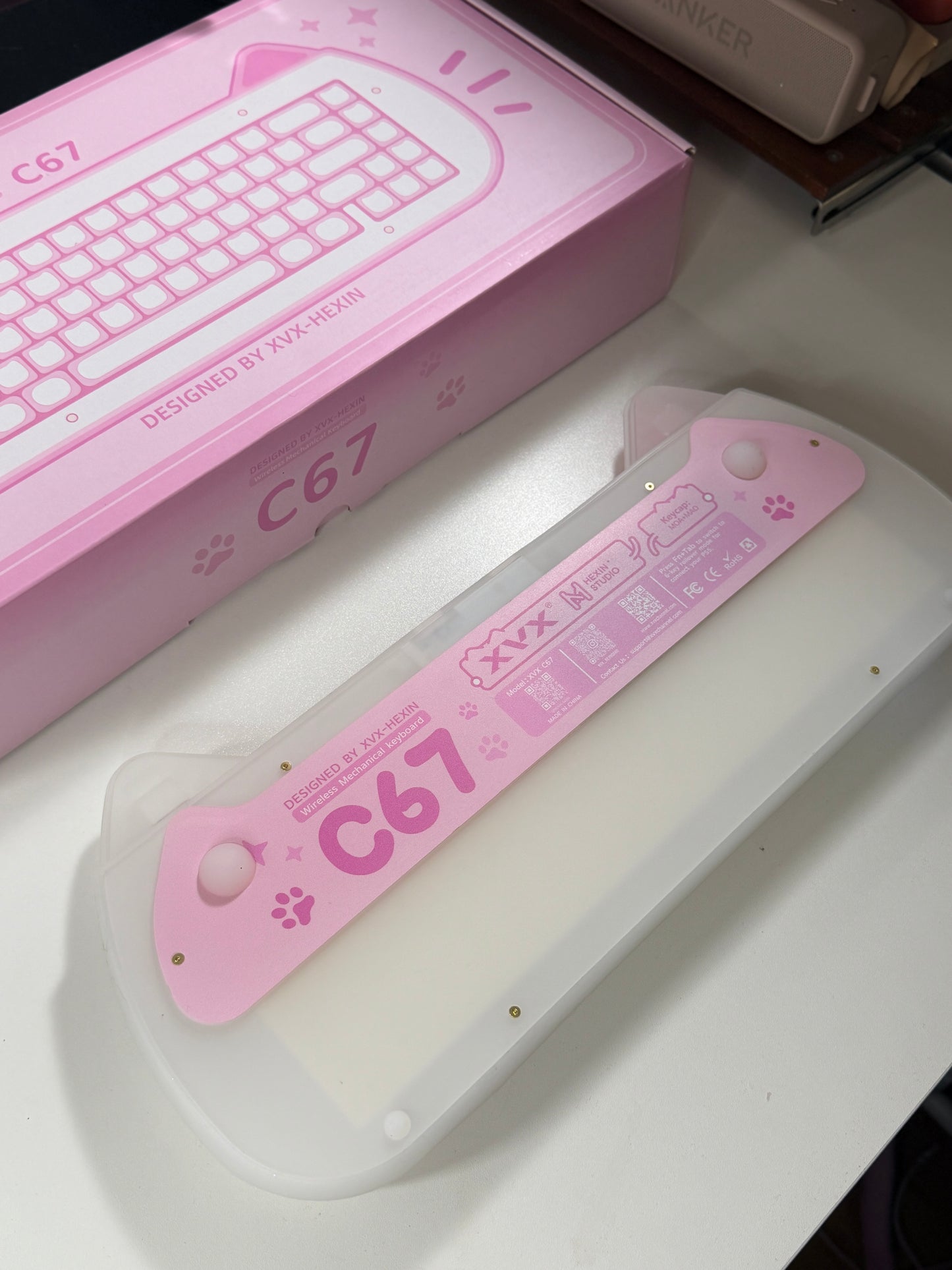 Unboxing Sample For Sale ONLY 1 Instock XVX C67 AcriCat Themed Wireless Acrylic Mechanical Keyboard