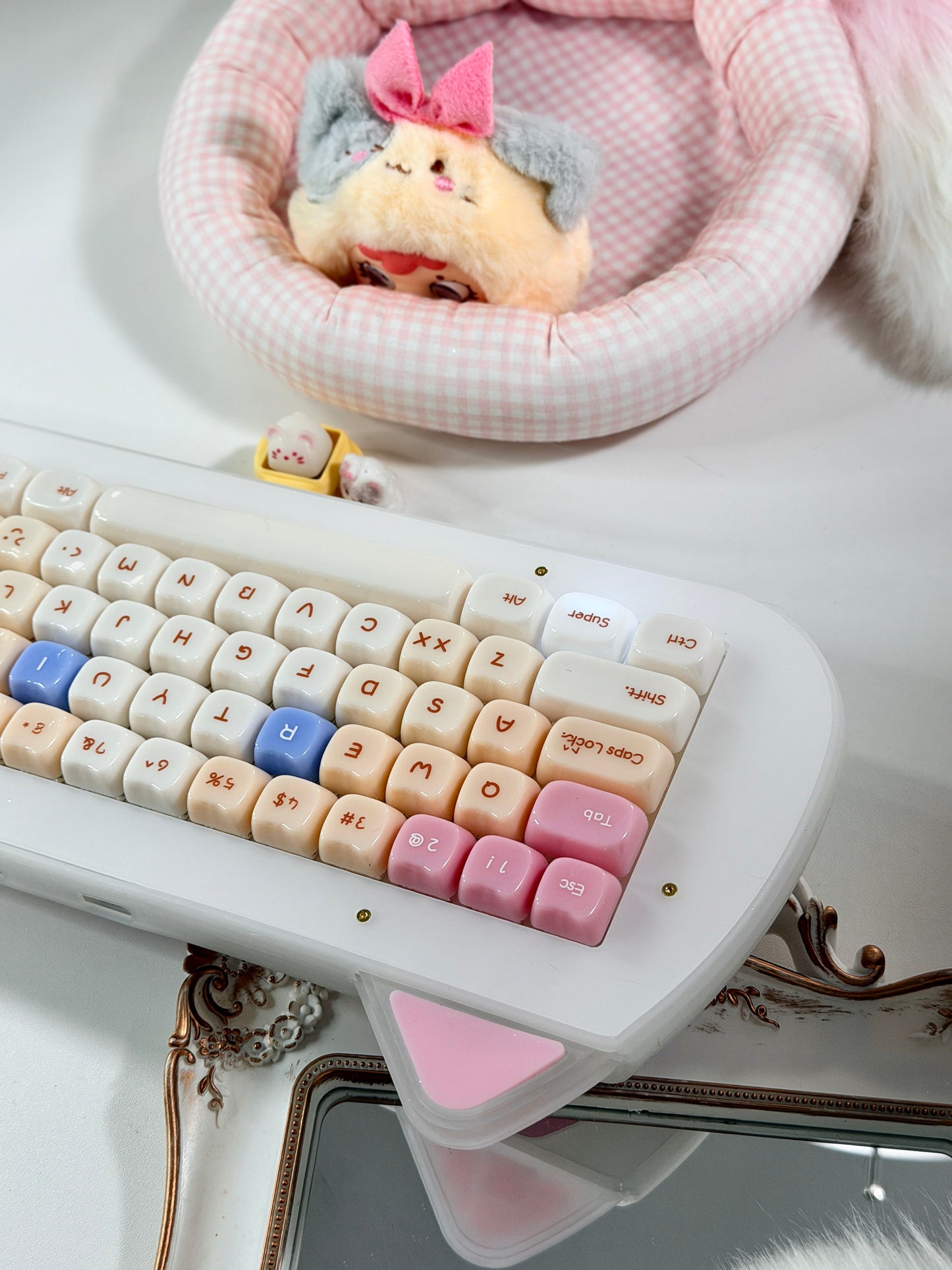 Unboxing Sample For Sale ONLY 1 Instock XVX C67 AcriCat Themed Wireless Acrylic Mechanical Keyboard