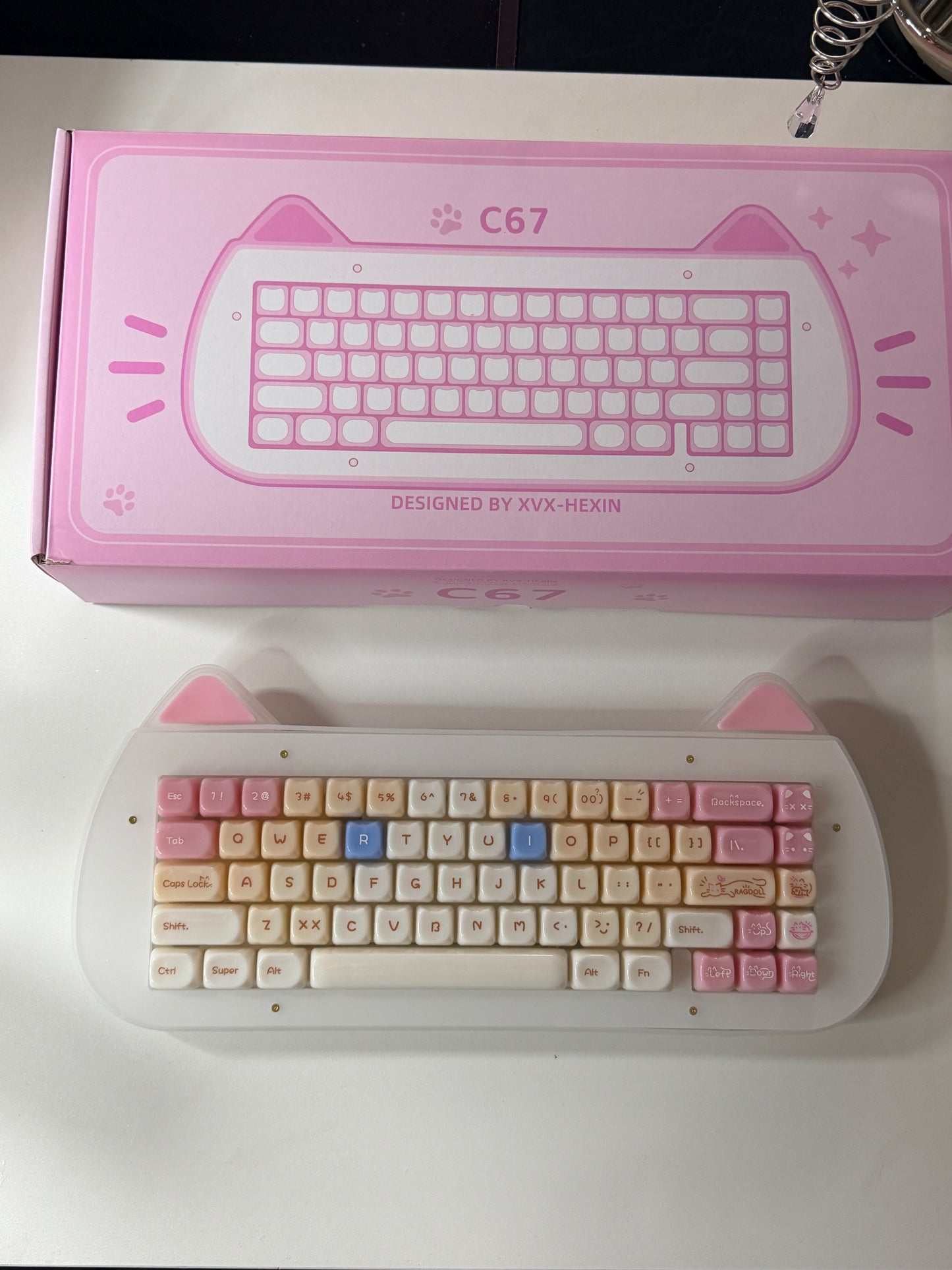 Unboxing Sample For Sale ONLY 1 Instock XVX C67 AcriCat Themed Wireless Acrylic Mechanical Keyboard