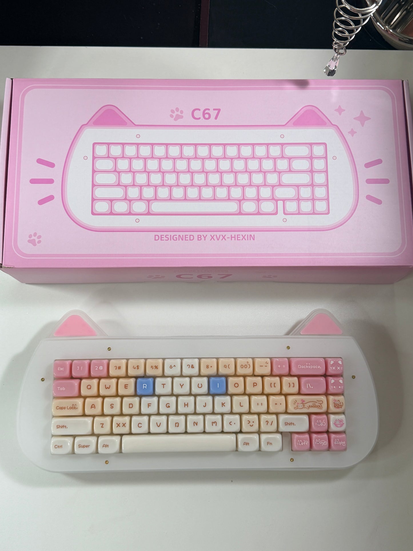 Unboxing Sample For Sale ONLY 1 Instock XVX C67 AcriCat Themed Wireless Acrylic Mechanical Keyboard
