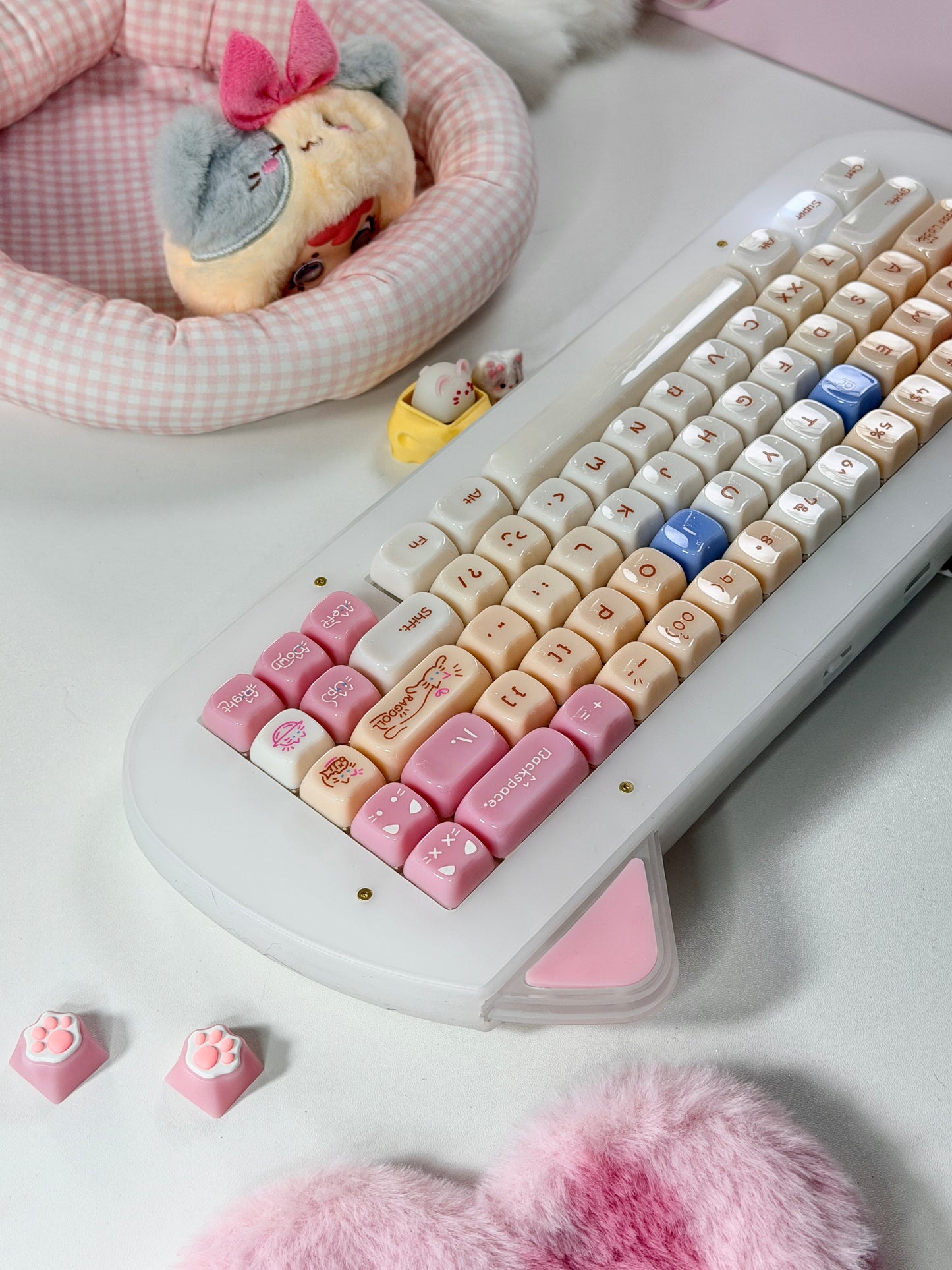 Unboxing Sample For Sale ONLY 1 Instock XVX C67 AcriCat Themed Wireless Acrylic Mechanical Keyboard