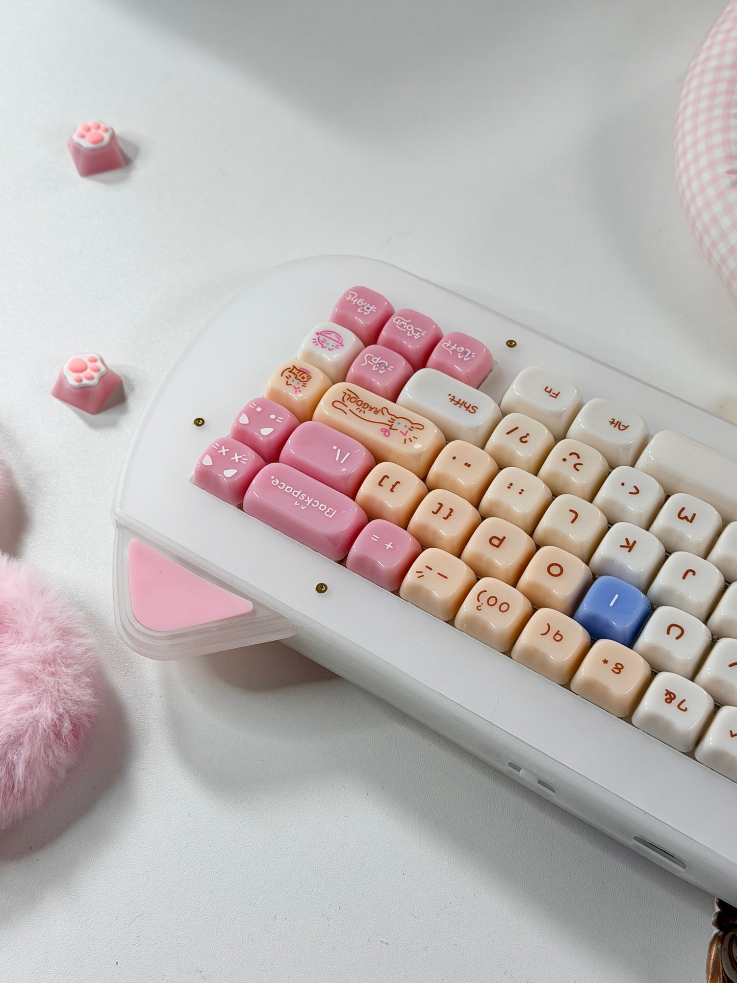 Unboxing Sample For Sale ONLY 1 Instock XVX C67 AcriCat Themed Wireless Acrylic Mechanical Keyboard