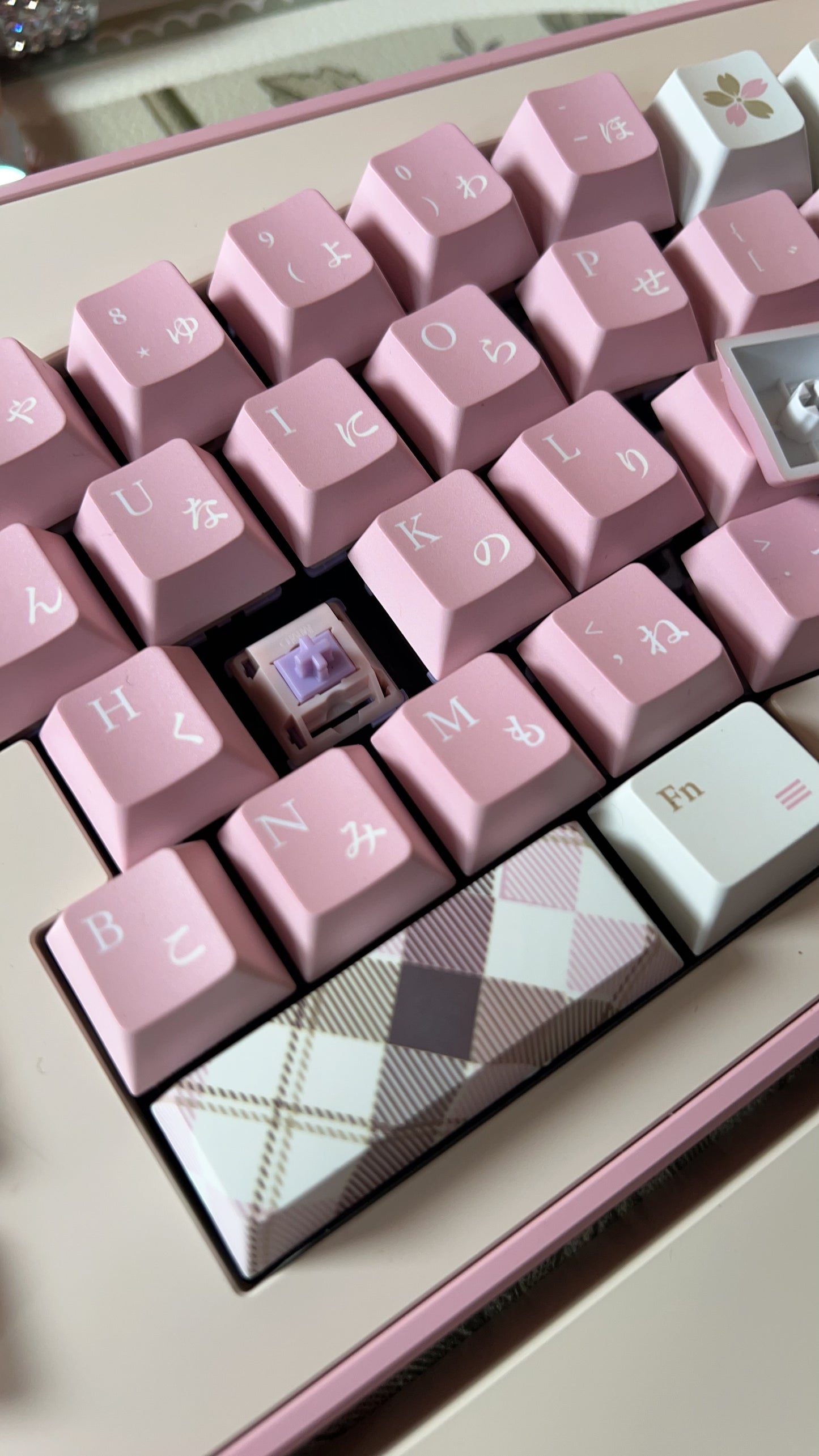 Preorder Prebuild Kitten Alice Ergonomic Pastel Pink Beige Aluminum Mechanical Keyboard