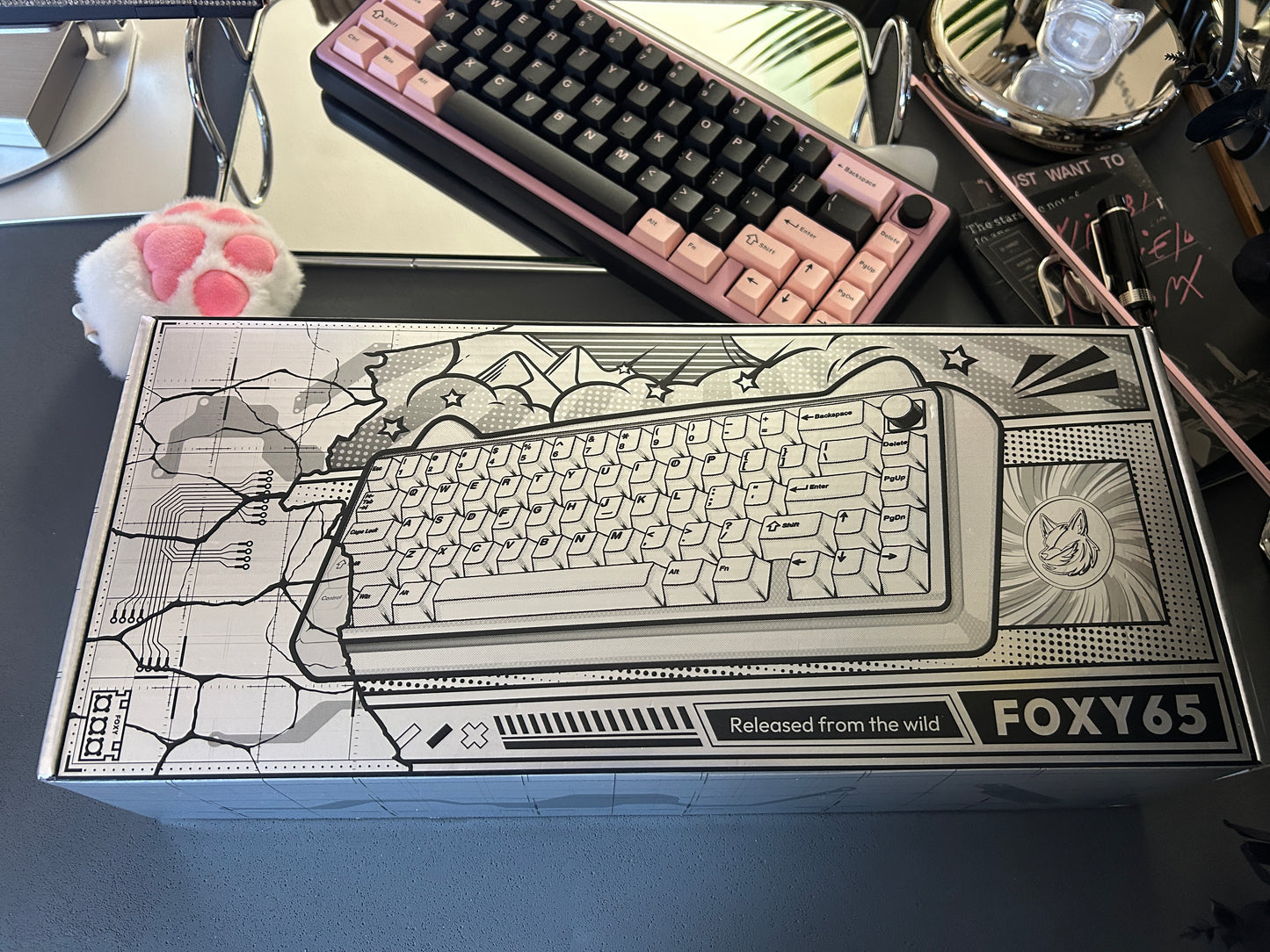 Unboxing Clearance ONLY 1 Instock Foxy 65 Assembled Edition Black Pink Kitten