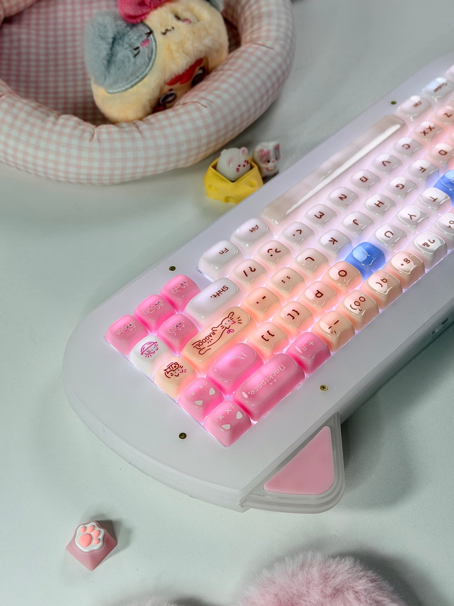 Unboxing Sample For Sale ONLY 1 Instock XVX C67 AcriCat Themed Wireless Acrylic Mechanical Keyboard