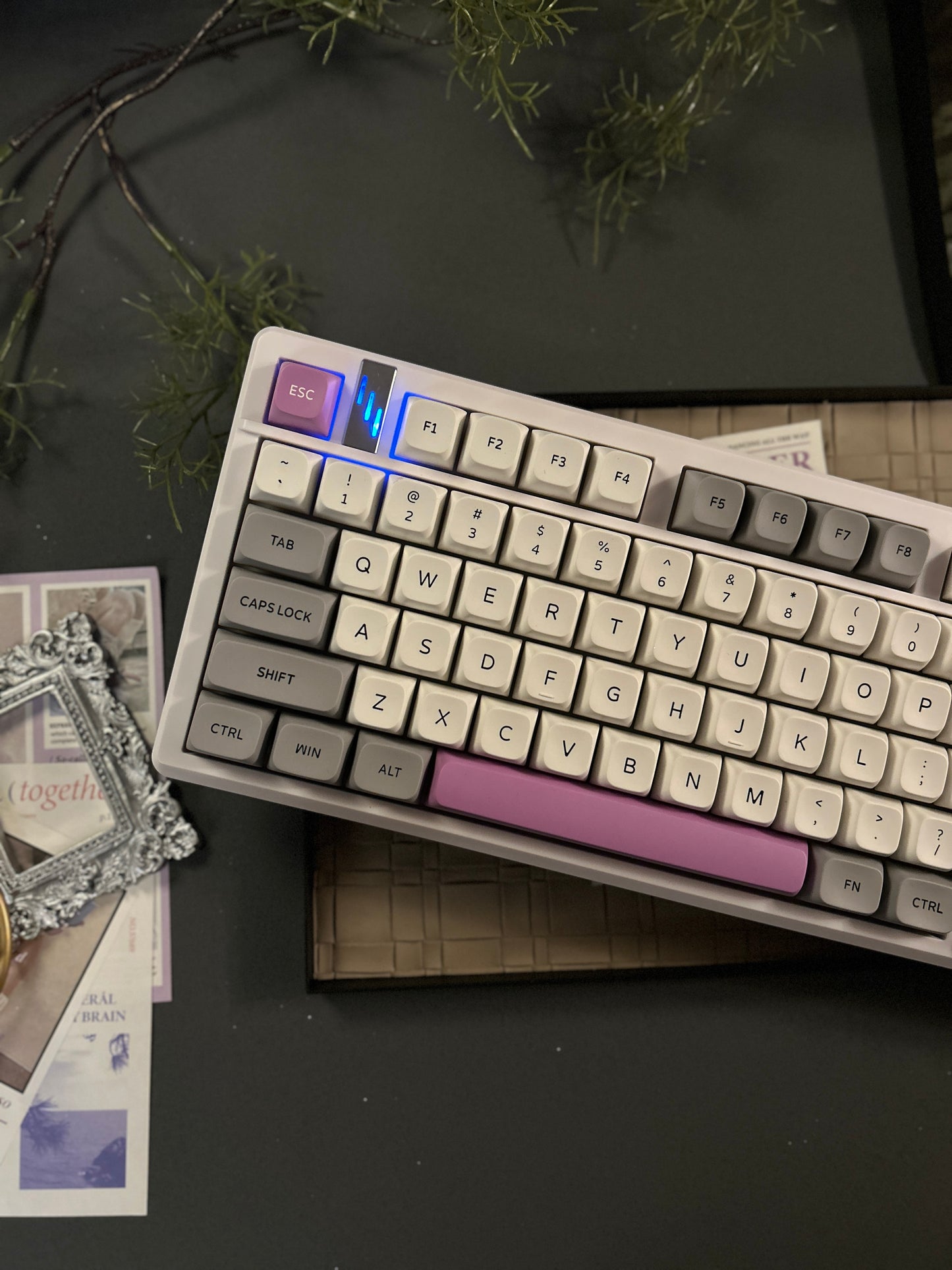 Unboxing Sample For Sale ONLY 1 Instock GK GAMAKAY TK101 98% Mechanical Keyboard