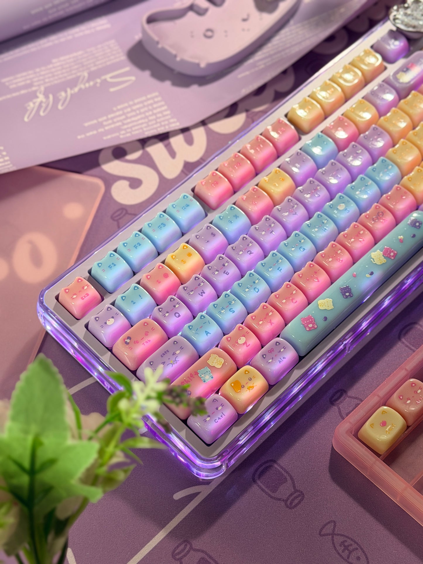 Unboxing Clearance ONLY 1 Instock Meow Pudding PC Keycap Set ➕KiiBOOM Breeze75 Purple Mechanical Keyboard ➕ Phantom 21 Number Pad