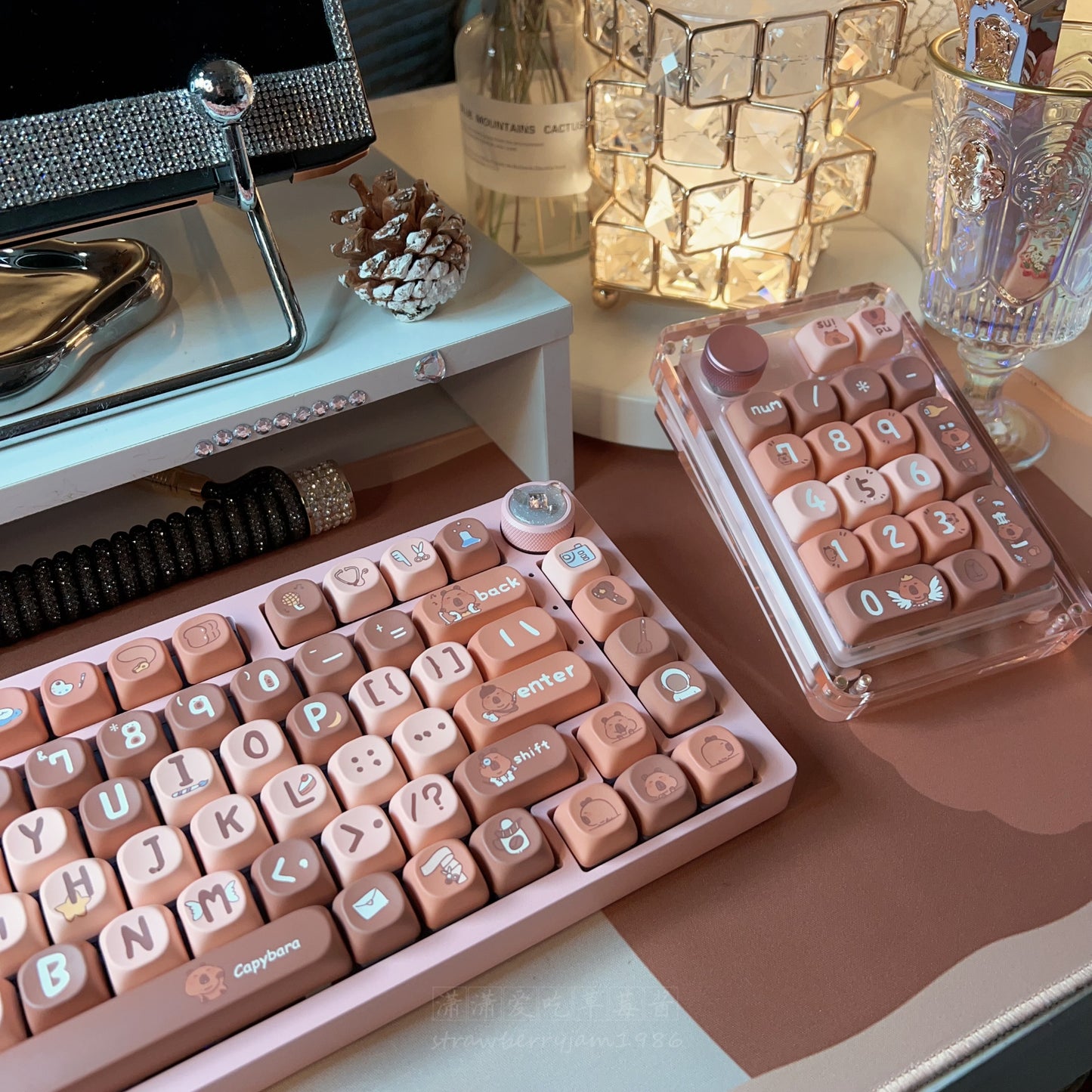 Kapybara MOA Keycap set