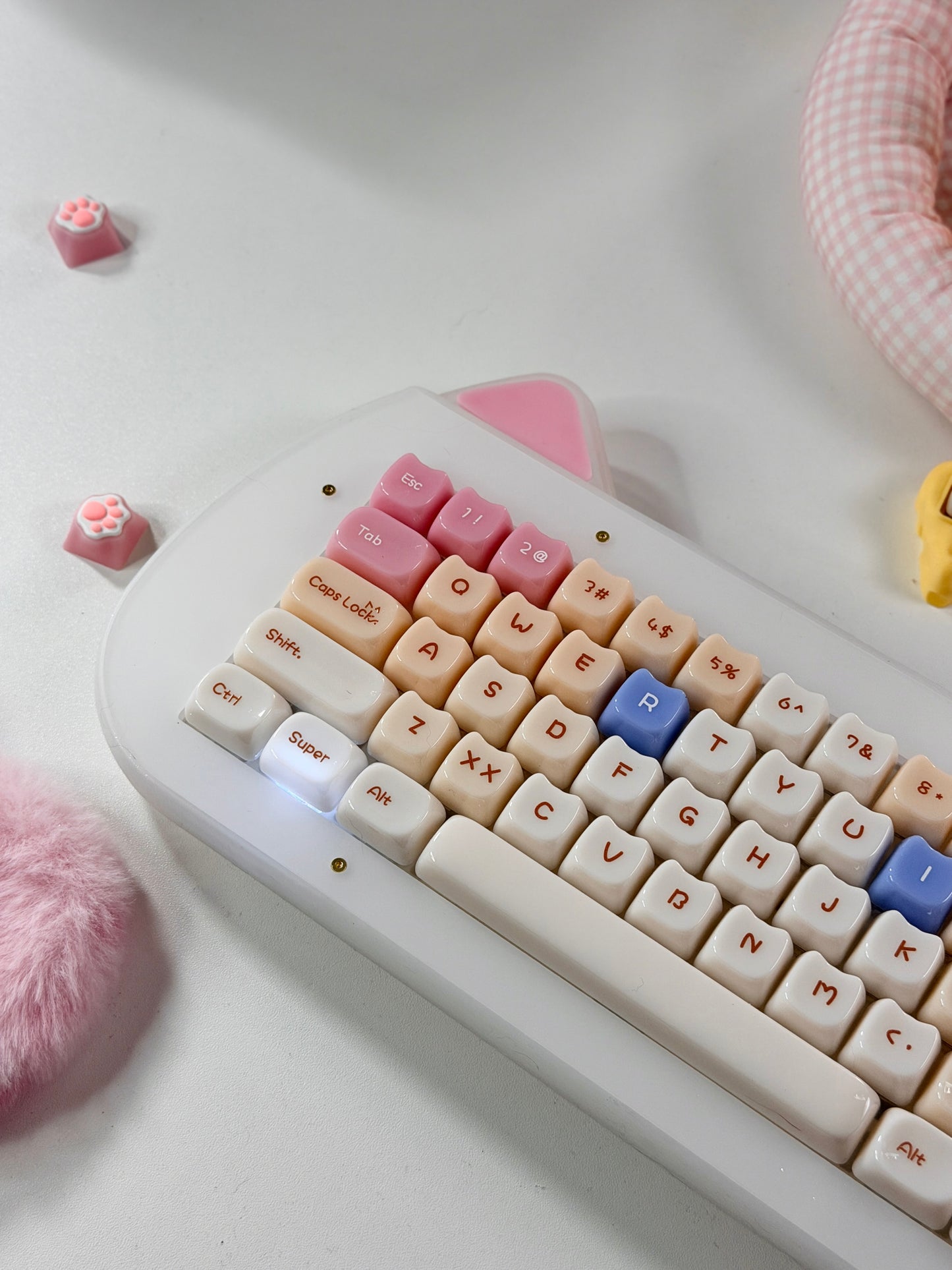 Unboxing Sample For Sale ONLY 1 Instock XVX C67 AcriCat Themed Wireless Acrylic Mechanical Keyboard