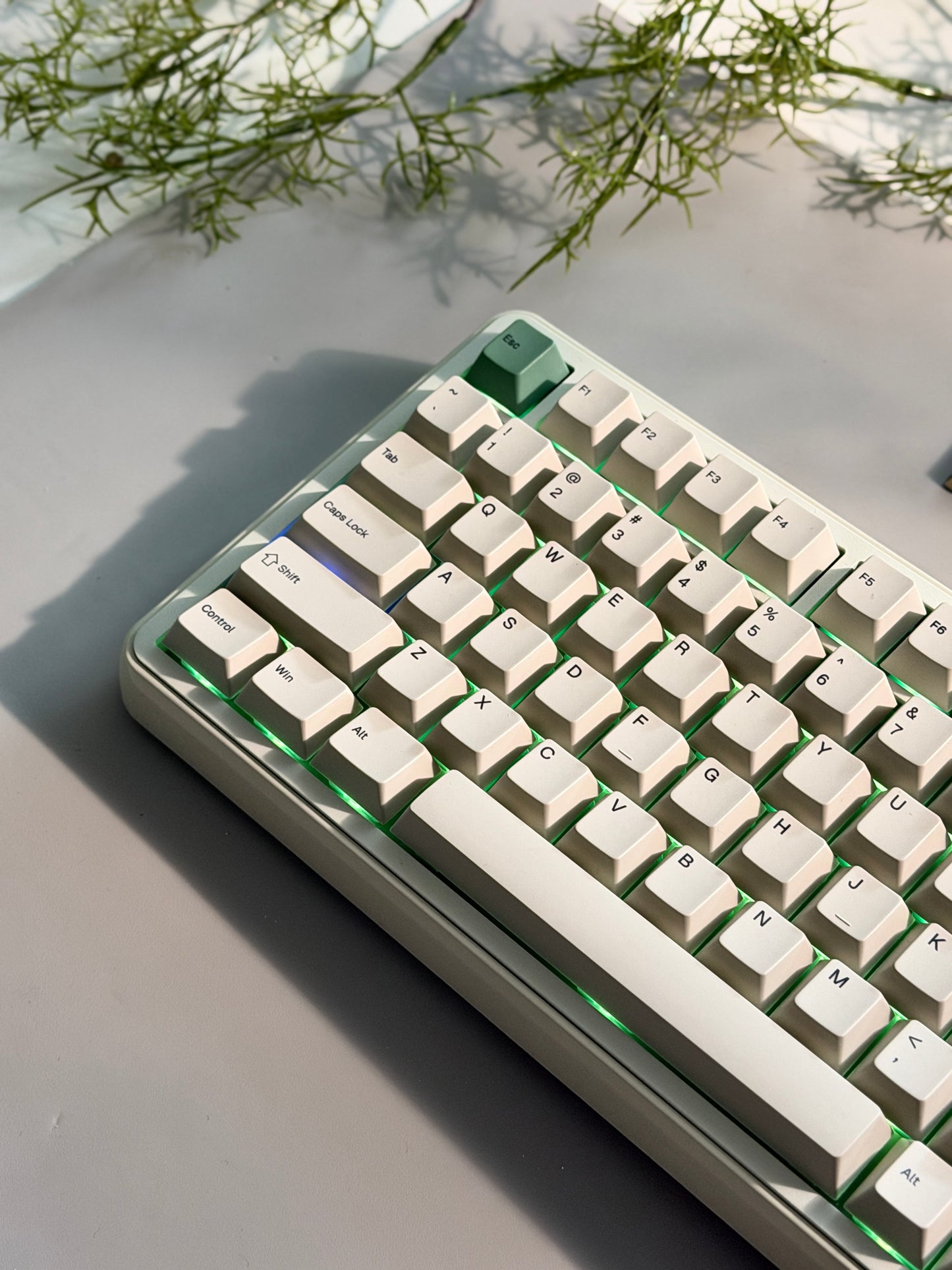 Unboxing Clearance ONLY 1 Instock EPOMAKER RT100 PRO Retro White （Creamy Jade Switch）