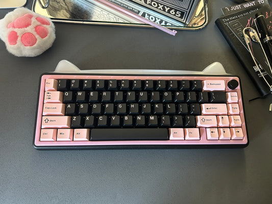 Unboxing Clearance ONLY 1 Instock Foxy 65 Assembled Edition Black Pink Kitten