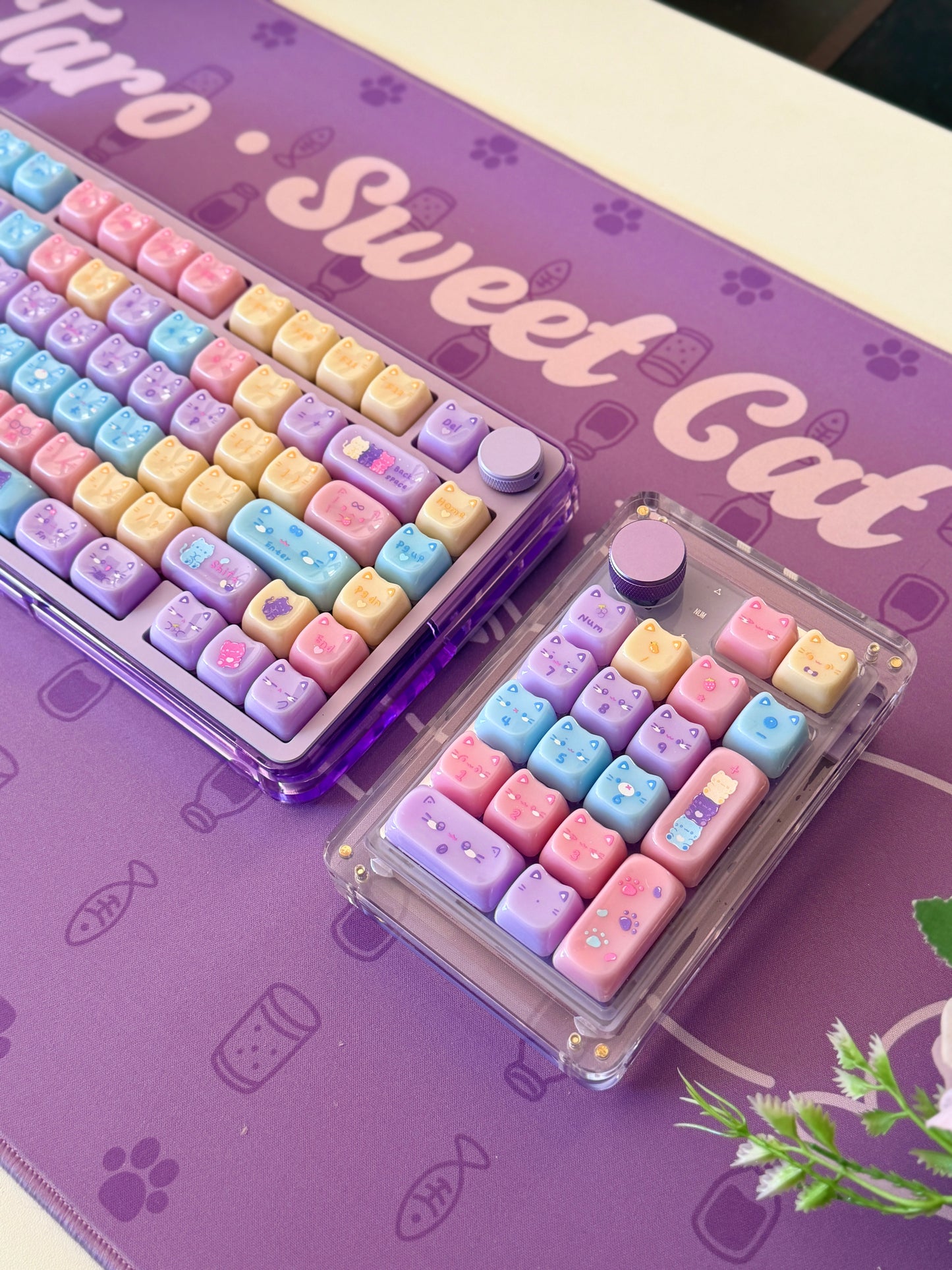 Unboxing Clearance ONLY 1 Instock Meow Pudding PC Keycap Set ➕KiiBOOM Breeze75 Purple Mechanical Keyboard ➕ Phantom 21 Number Pad