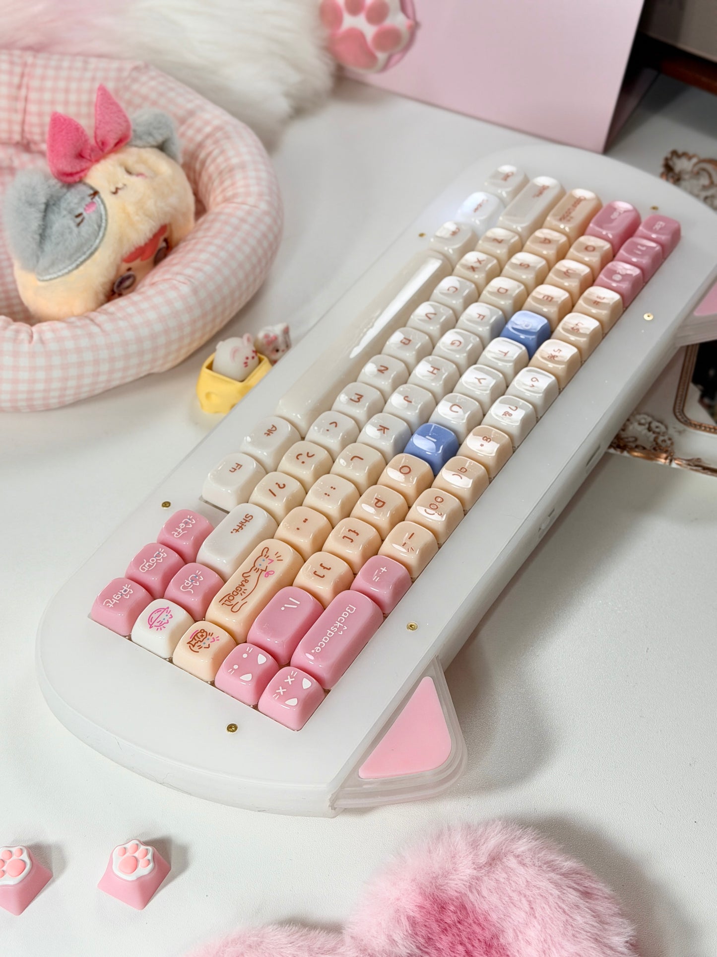 Unboxing Sample For Sale ONLY 1 Instock XVX C67 AcriCat Themed Wireless Acrylic Mechanical Keyboard