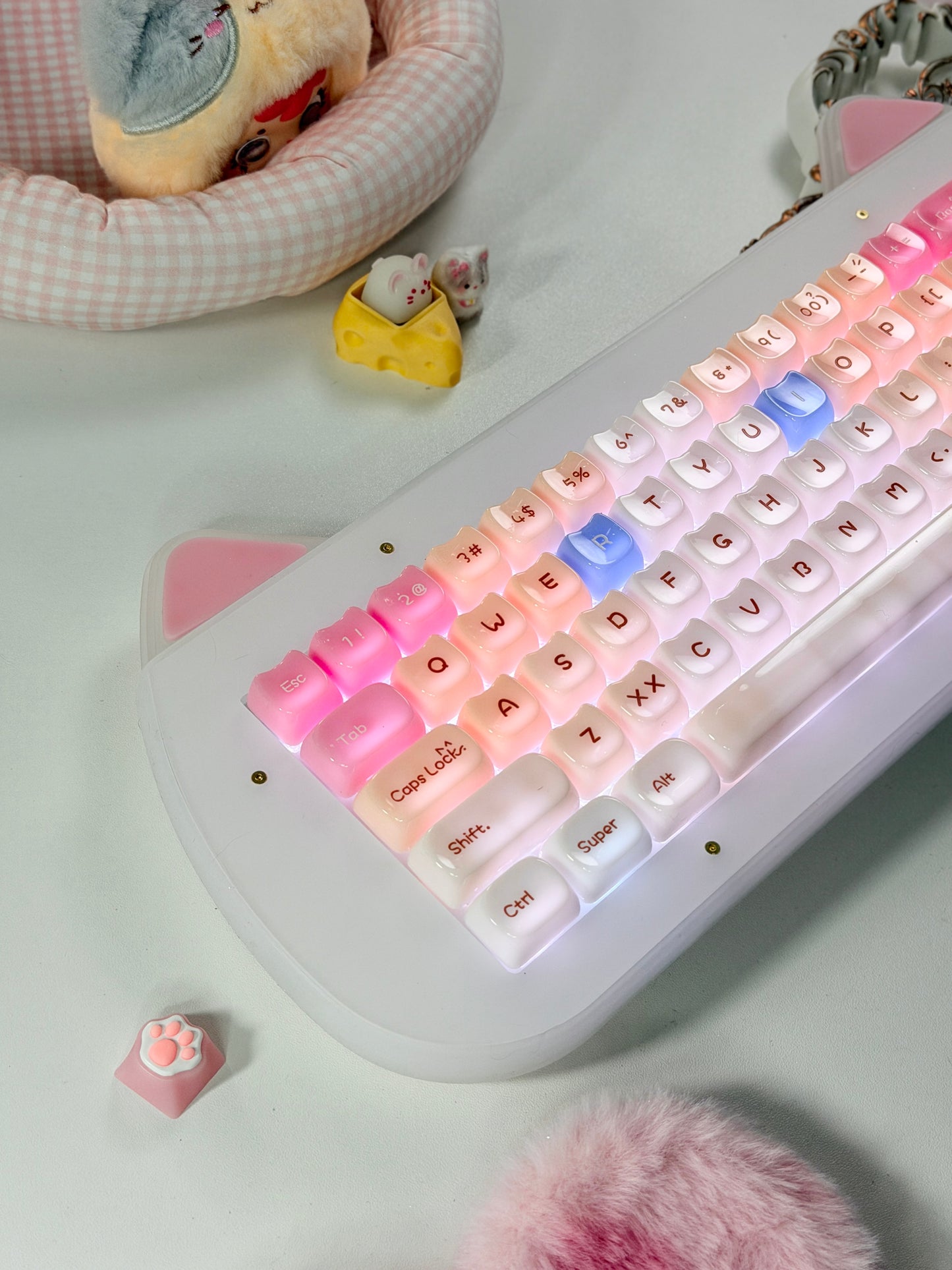 Unboxing Sample For Sale ONLY 1 Instock XVX C67 AcriCat Themed Wireless Acrylic Mechanical Keyboard