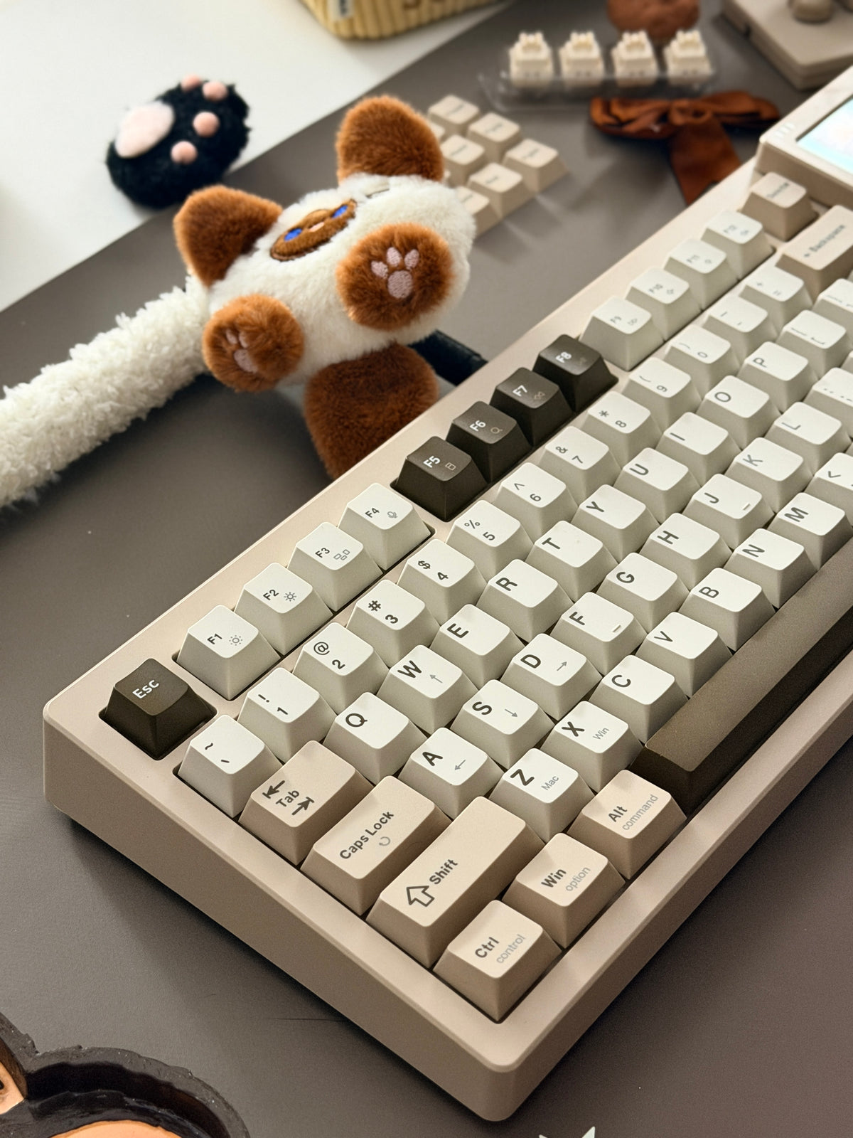 ONLY 1 Unboxing For Clearance