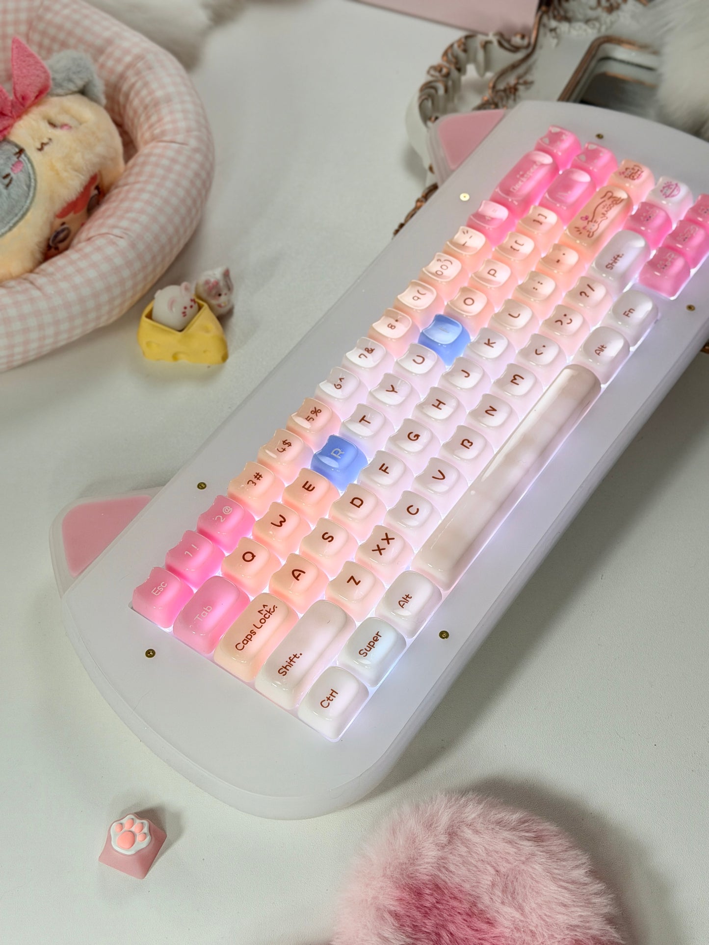 Unboxing Sample For Sale ONLY 1 Instock XVX C67 AcriCat Themed Wireless Acrylic Mechanical Keyboard