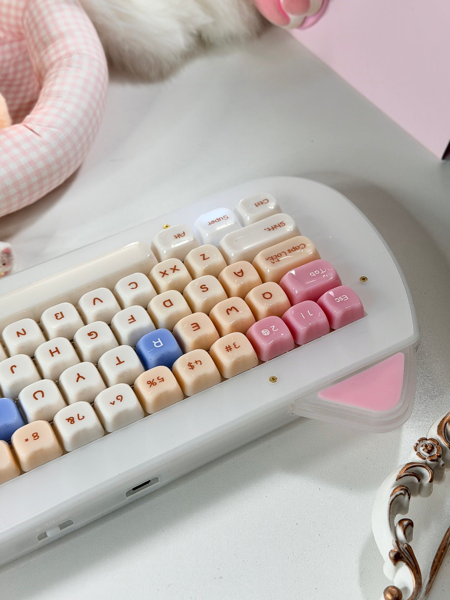 Unboxing Sample For Sale ONLY 1 Instock XVX C67 AcriCat Themed Wireless Acrylic Mechanical Keyboard