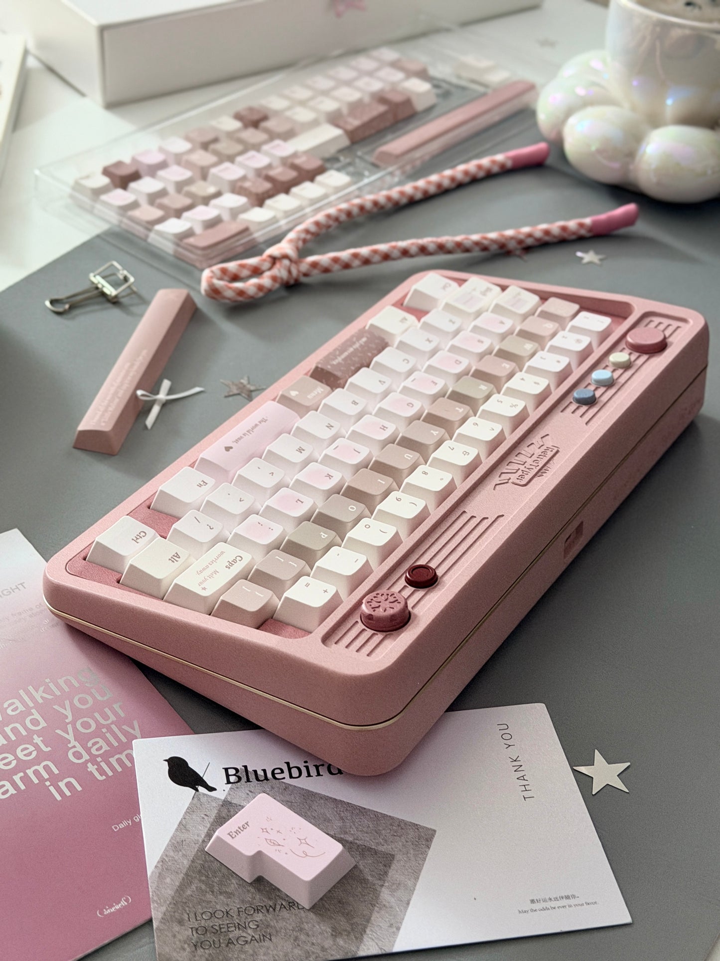 ONLY 1 Instock Prebuilt Aluminum Custom Mechanical Keyboard RT50 Dusty Rose Pink Set
