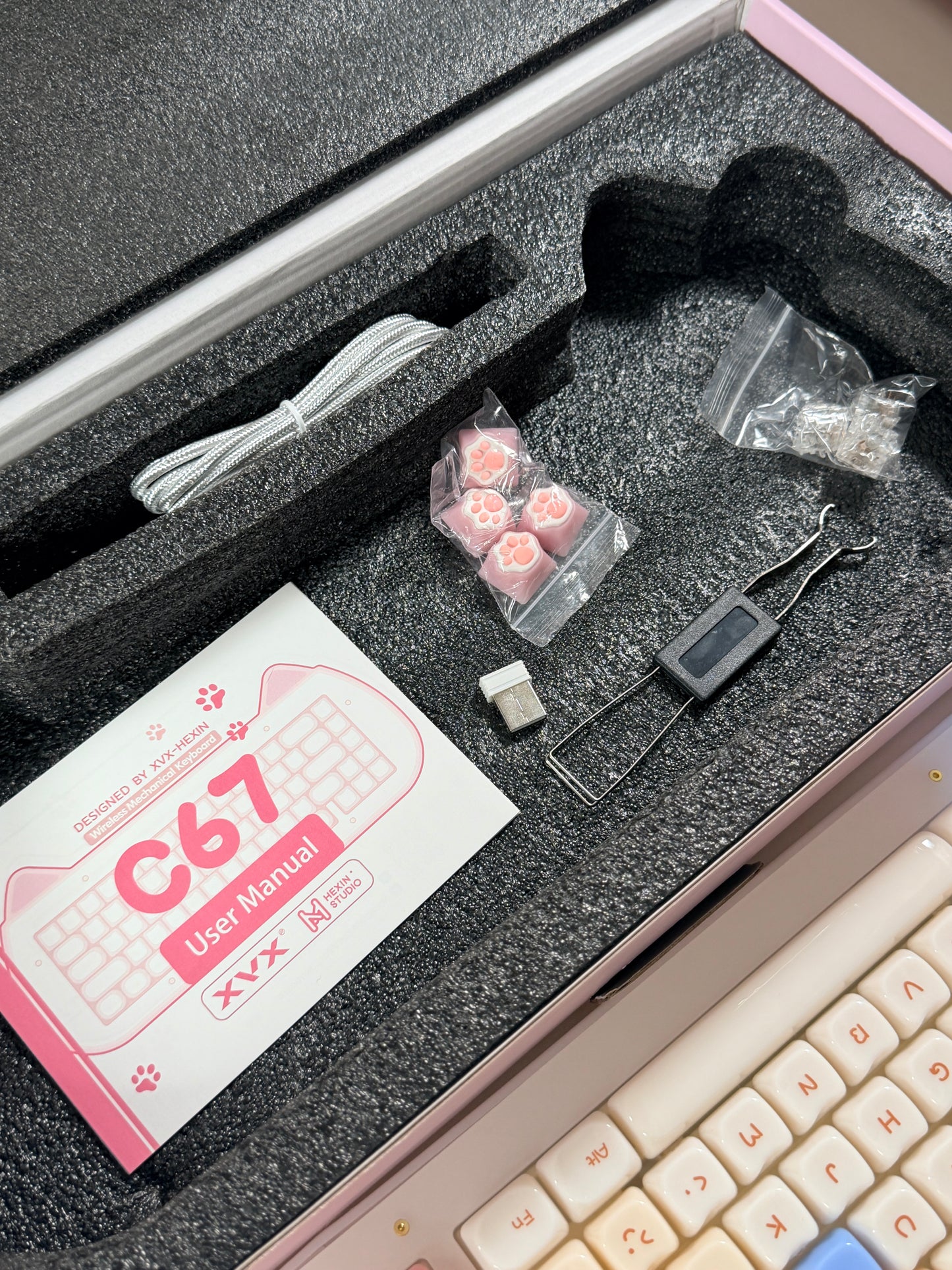 Unboxing Sample For Sale ONLY 1 Instock XVX C67 AcriCat Themed Wireless Acrylic Mechanical Keyboard