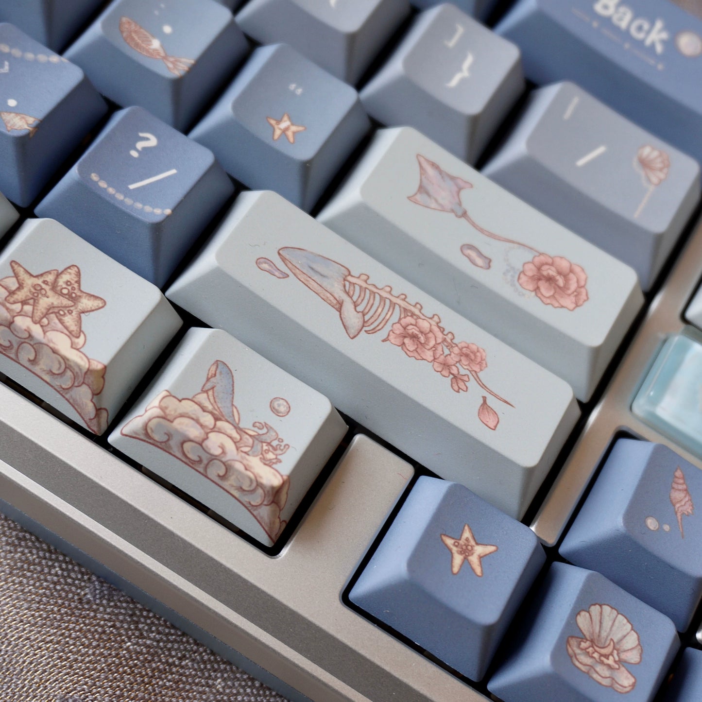 048 Foggy Pastel Blue Sea Creature Keycap Set Cherry Profile SO Profile 139 Keys Designed By Sleeping Sheep